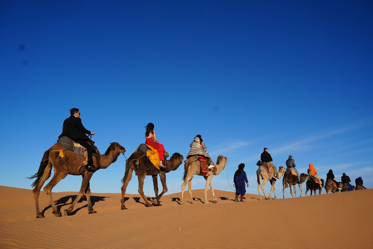 Marrakesh Desert Tours — tour operator in Rue Oqba Ben Nafaa, Morocco – photo 2