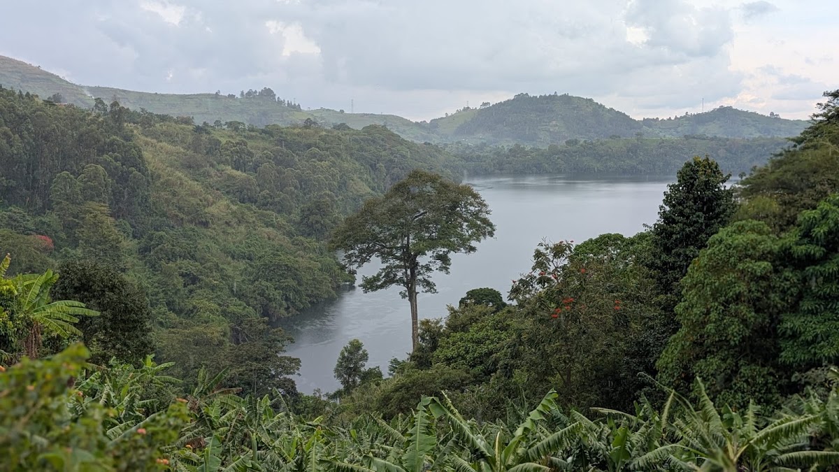 K Safaris | Uganda Safaris | Gorilla Trekking | Kenya safaris | Luxury African Safaris and Tanzania Safaris — tour operator in Kikaya Zone, Uganda – photo 4