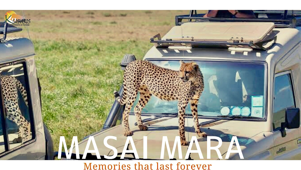 K Safaris | Uganda Safaris | Gorilla Trekking | Kenya safaris | Luxury African Safaris and Tanzania Safaris — tour operator in Kikaya Zone, Uganda – photo 1