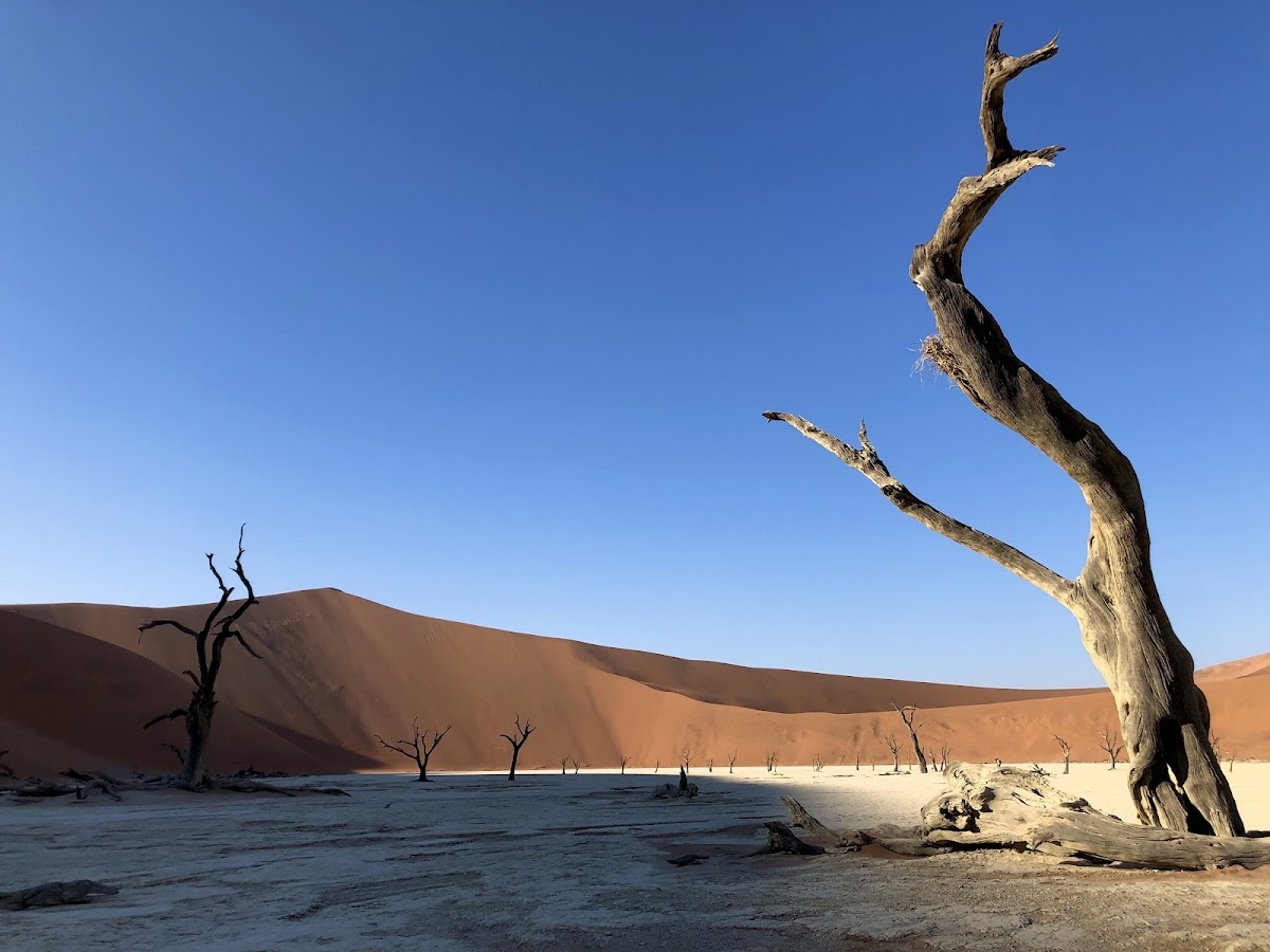 SWA SAFARIS Namibia — tour operator in 12 Trift Street, Namibia – photo 4