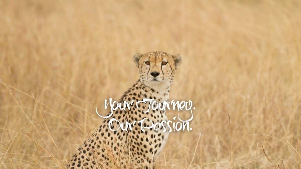SWA SAFARIS Namibia — tour operator in 12 Trift Street, Namibia – photo 1