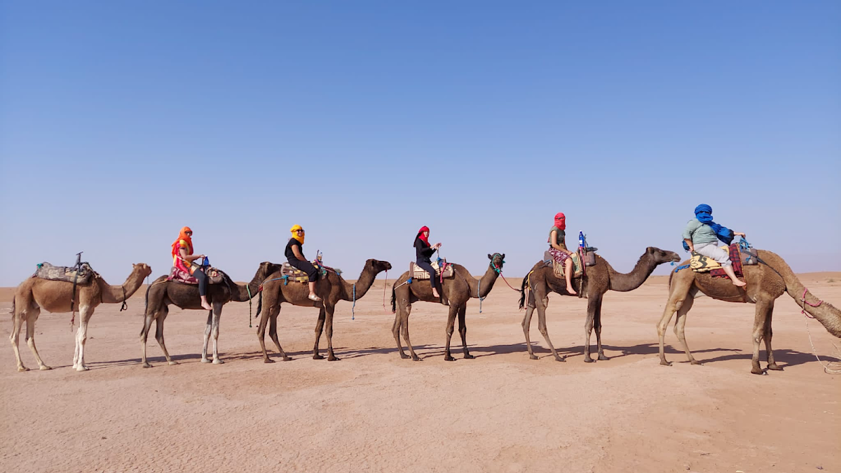 Morocco Shiny Days — tour operator in N 323، 3 Sidi Ahmed Soussi, Morocco – photo 1