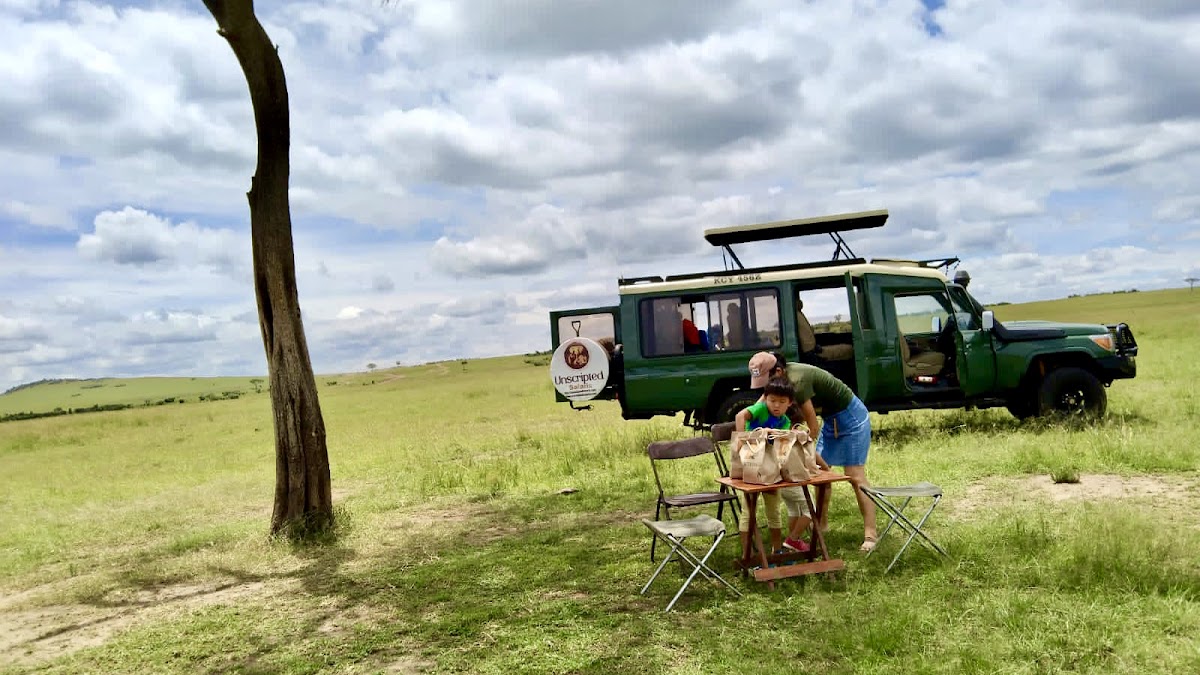 Unscripted Safaris Ltd — tour operator in Koinange St, Kenya – photo 1