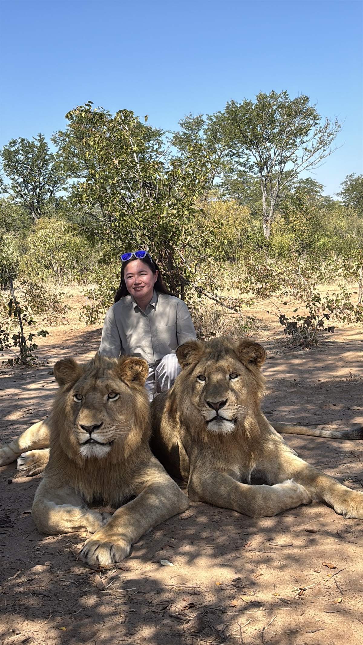 Far and Beyond Safaris — tour operator in 872 Aerodrome, Zimbabwe – photo 5