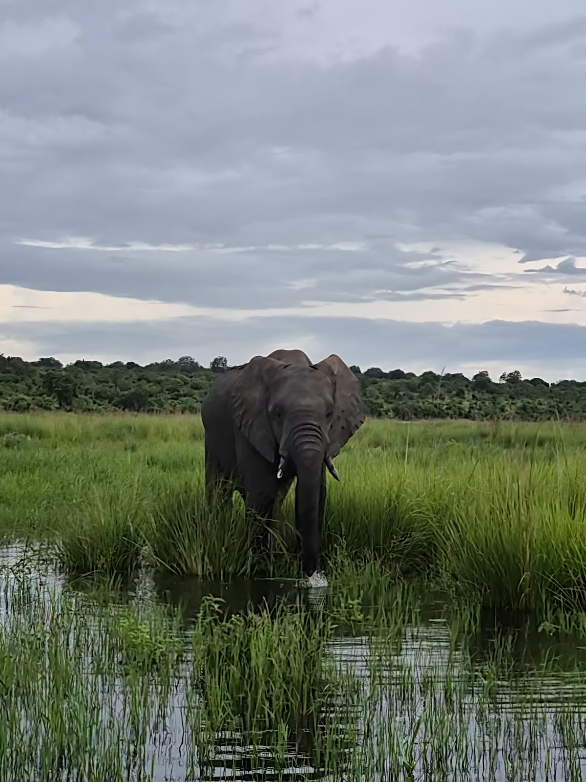 Far and Beyond Safaris — tour operator in 872 Aerodrome, Zimbabwe – photo 3