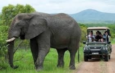 Fivebulls Travel Tours & Safaris — tour operator in Mutley Bend, Zimbabwe – photo 3