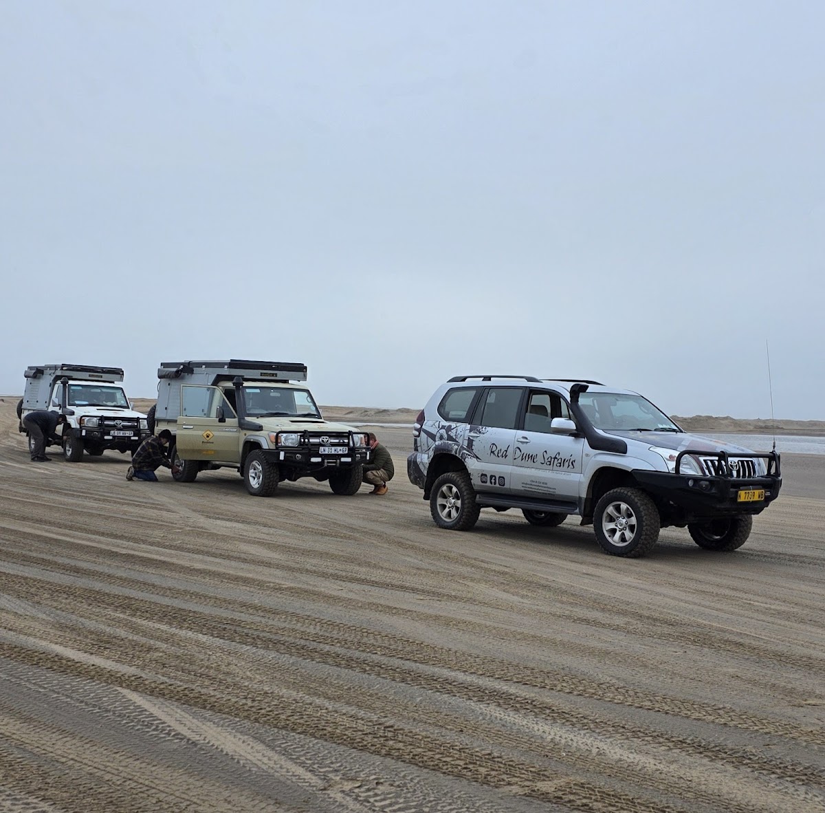 Red Dune Safaris Namibia — tour operator in Lagoon Promenade Rd, Namibia – photo 6