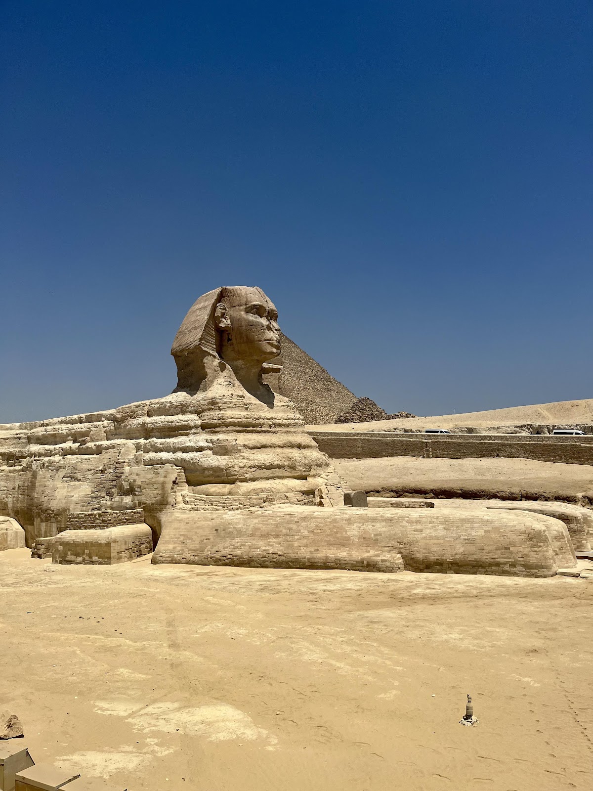 UTS - Egypt United Tours Services — tour operator in Dokki, Egypt – photo 1