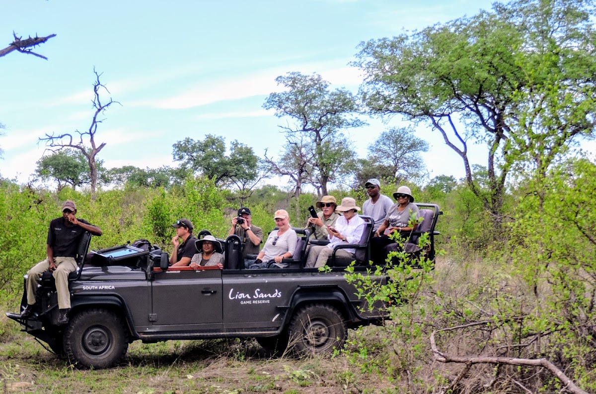 Safari and Tours — tour operator in Cape Town, South Africa – photo 4