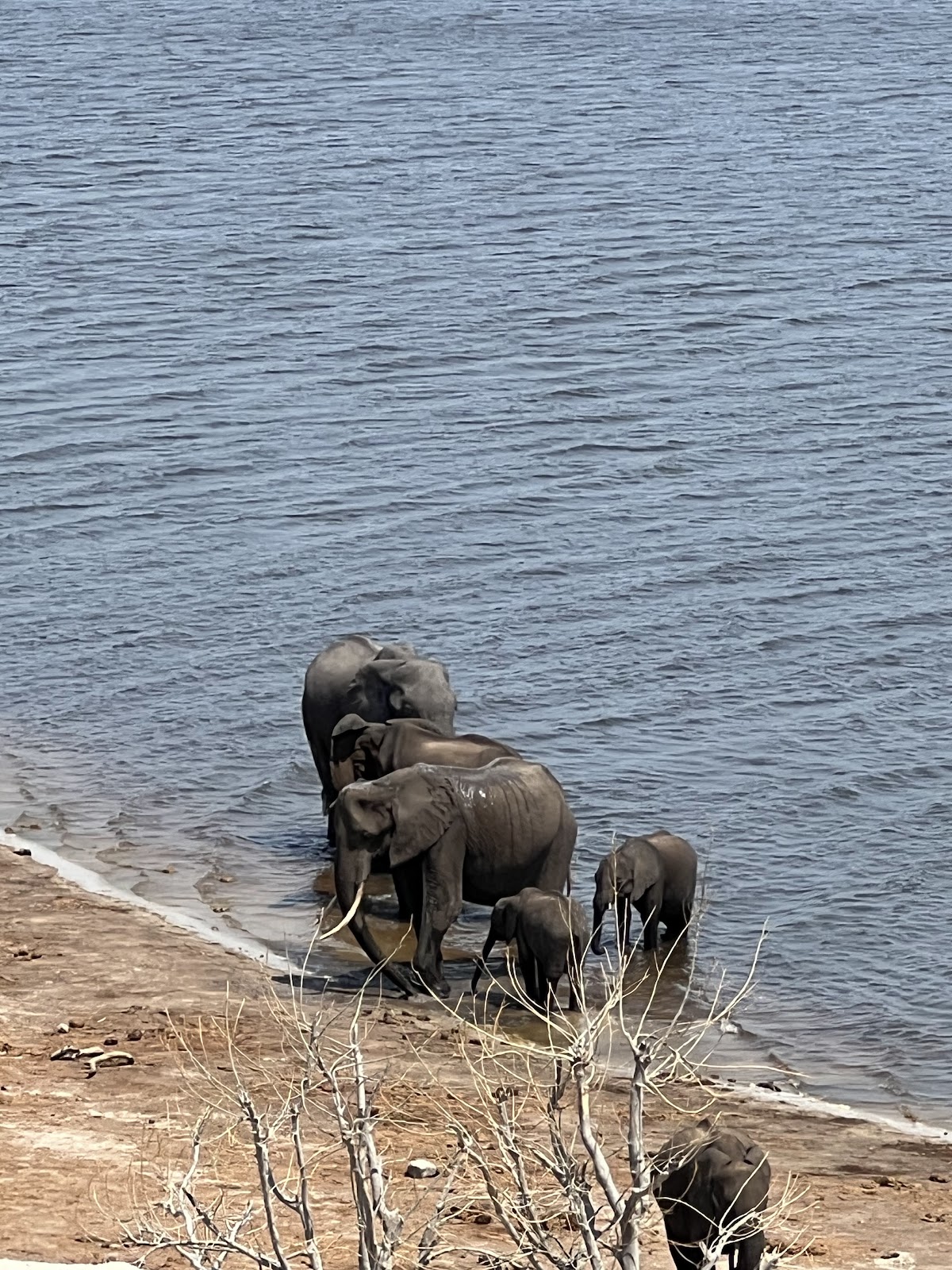Savannah Adventures Safaris , Victoria Falls Zimbabwe — tour operator in 738 Adam Stander Dr, Zimbabwe – photo 6