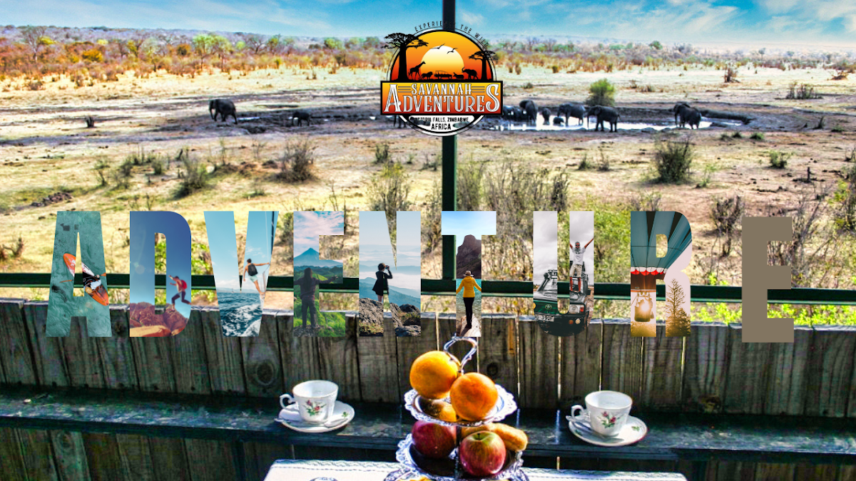 Savannah Adventures Safaris , Victoria Falls Zimbabwe — tour operator in 738 Adam Stander Dr, Zimbabwe – photo 1