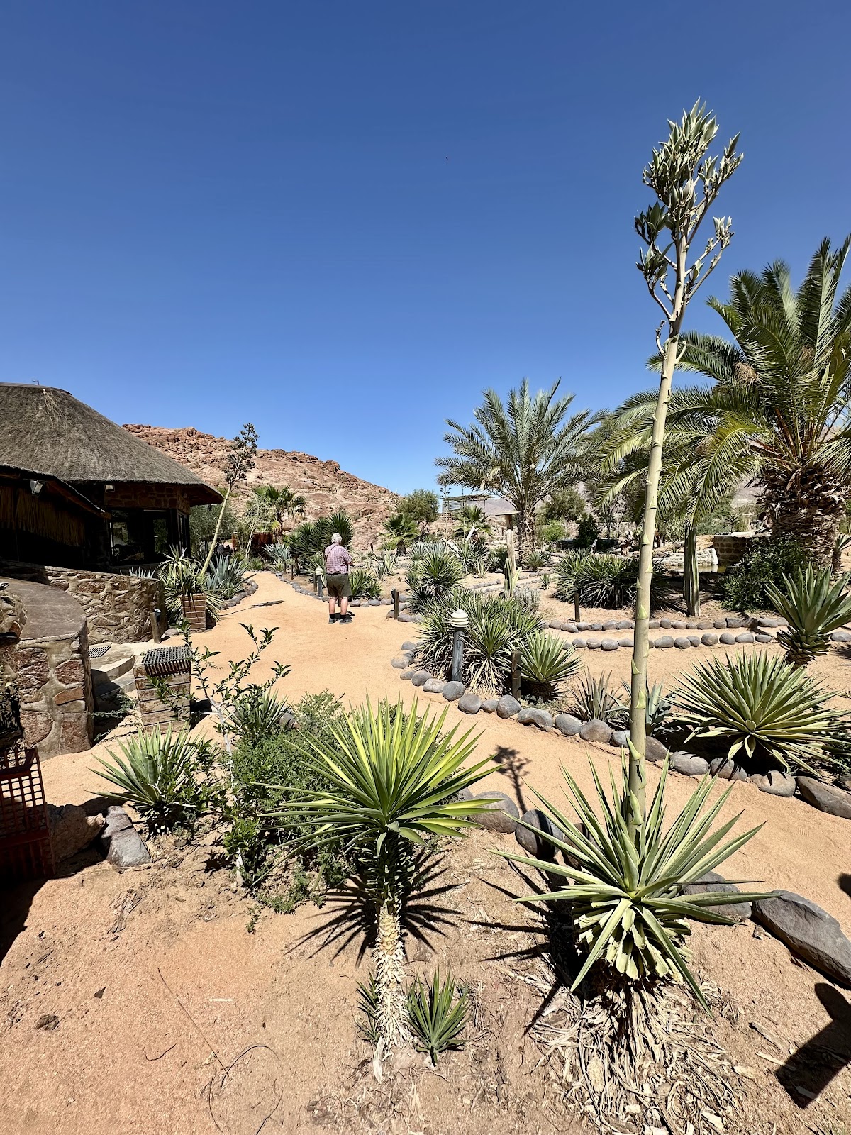 Desert Africa Safaris — tour operator in 5 Aviation Road, Namibia – photo 6