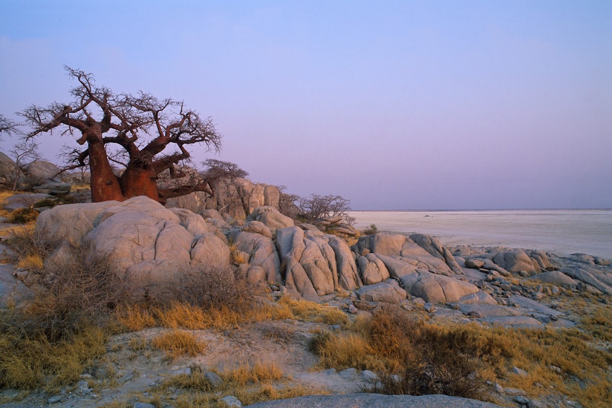 Beyond Botswana Travel — tour operator in Kgale Mews, Botswana – photo 1