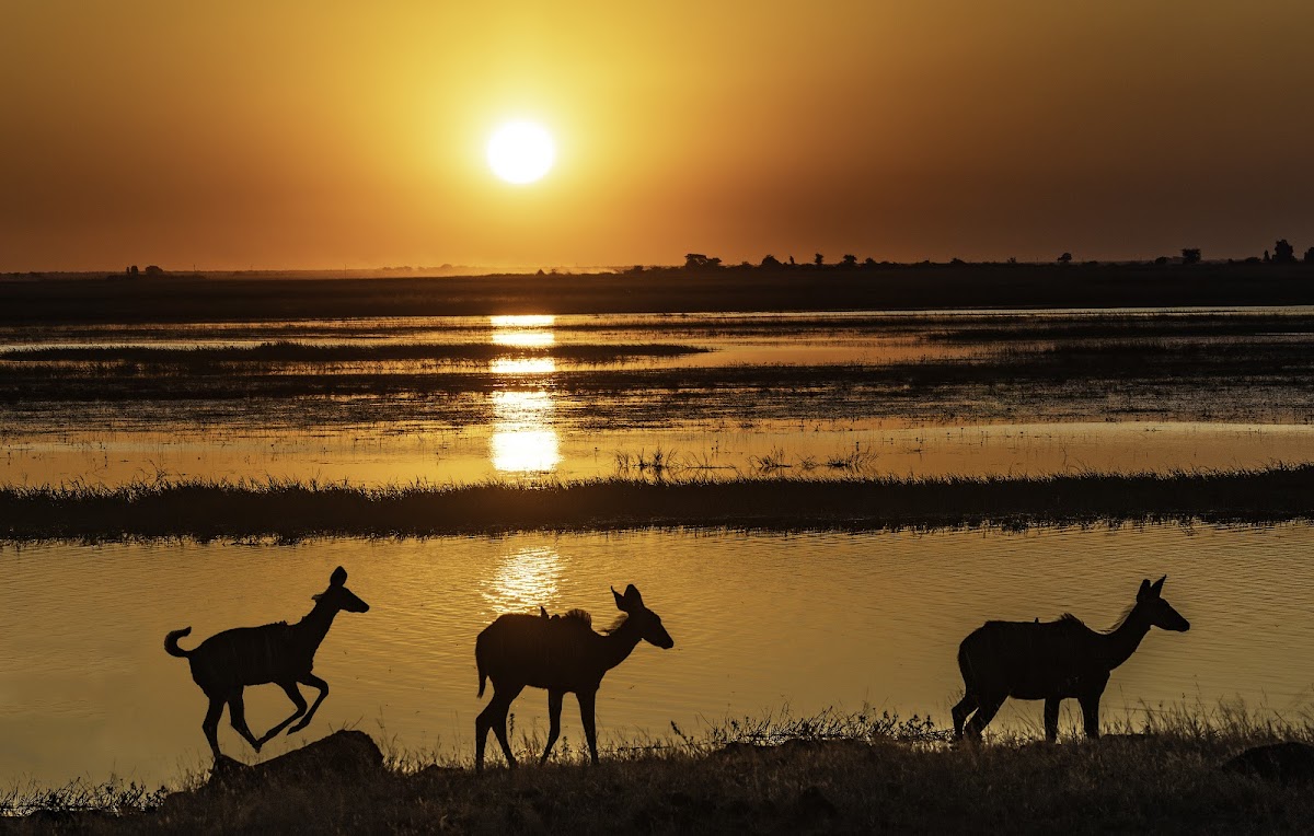 Beyond Botswana Travel — tour operator in Kgale Mews, Botswana – photo 3