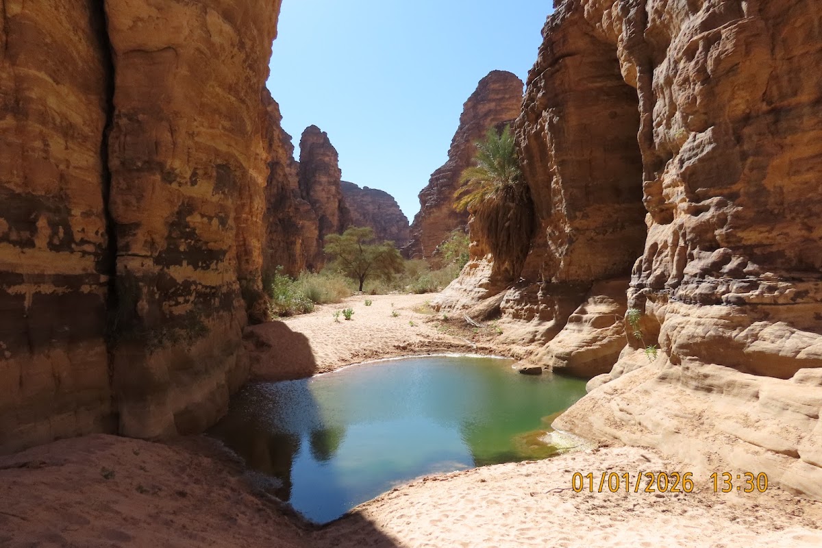 Terakaft Trips — tour operator in Lot 390, Algeria – photo 2