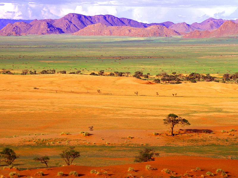 Namibia Tours & Safaris — tour operator in Sam Nujoma Ave, Namibia – photo 1