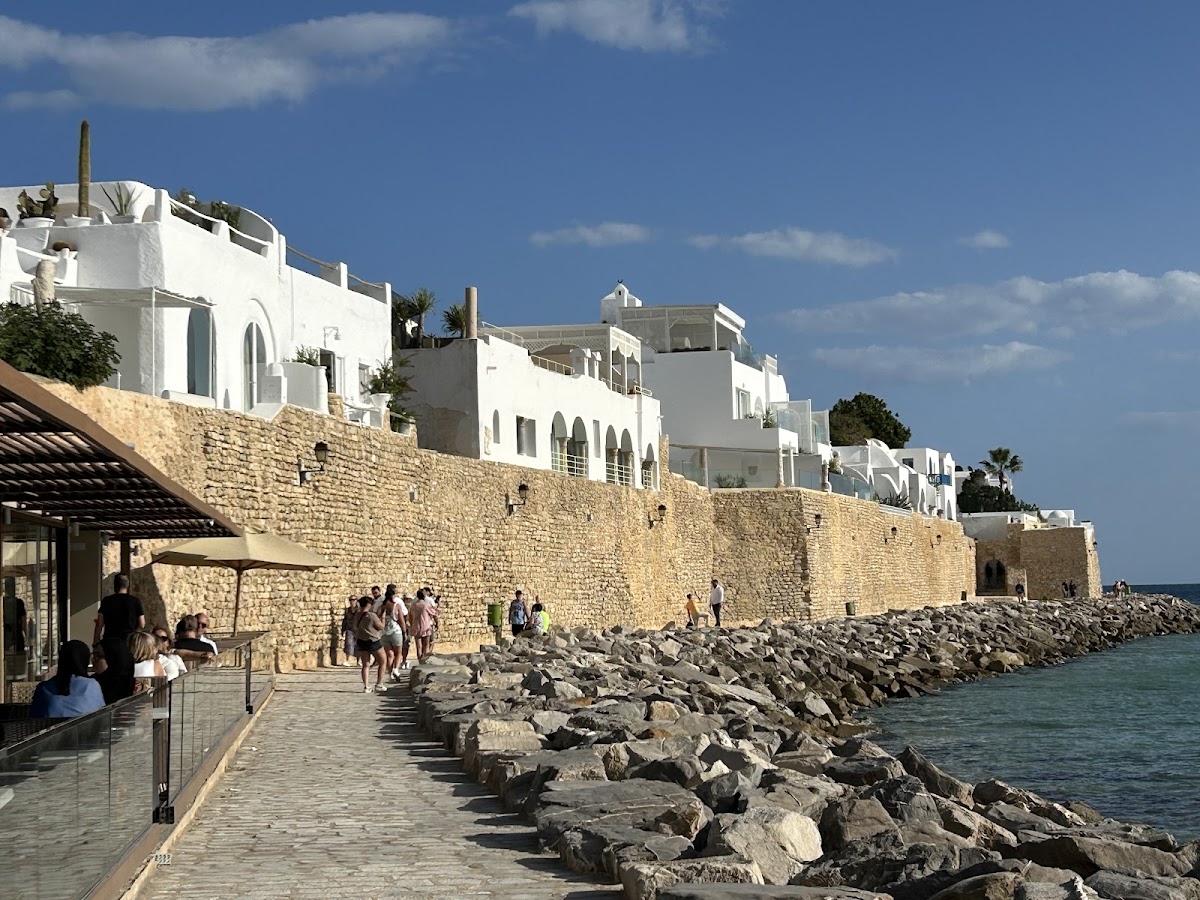 Tunisia Travel International — tour operator in Avenue Magreb Arabe Khezema Est Immeuble Wejdan Immeuble Wejdan Bloc A Bureau 303 Sousse, Tunisia – photo 2