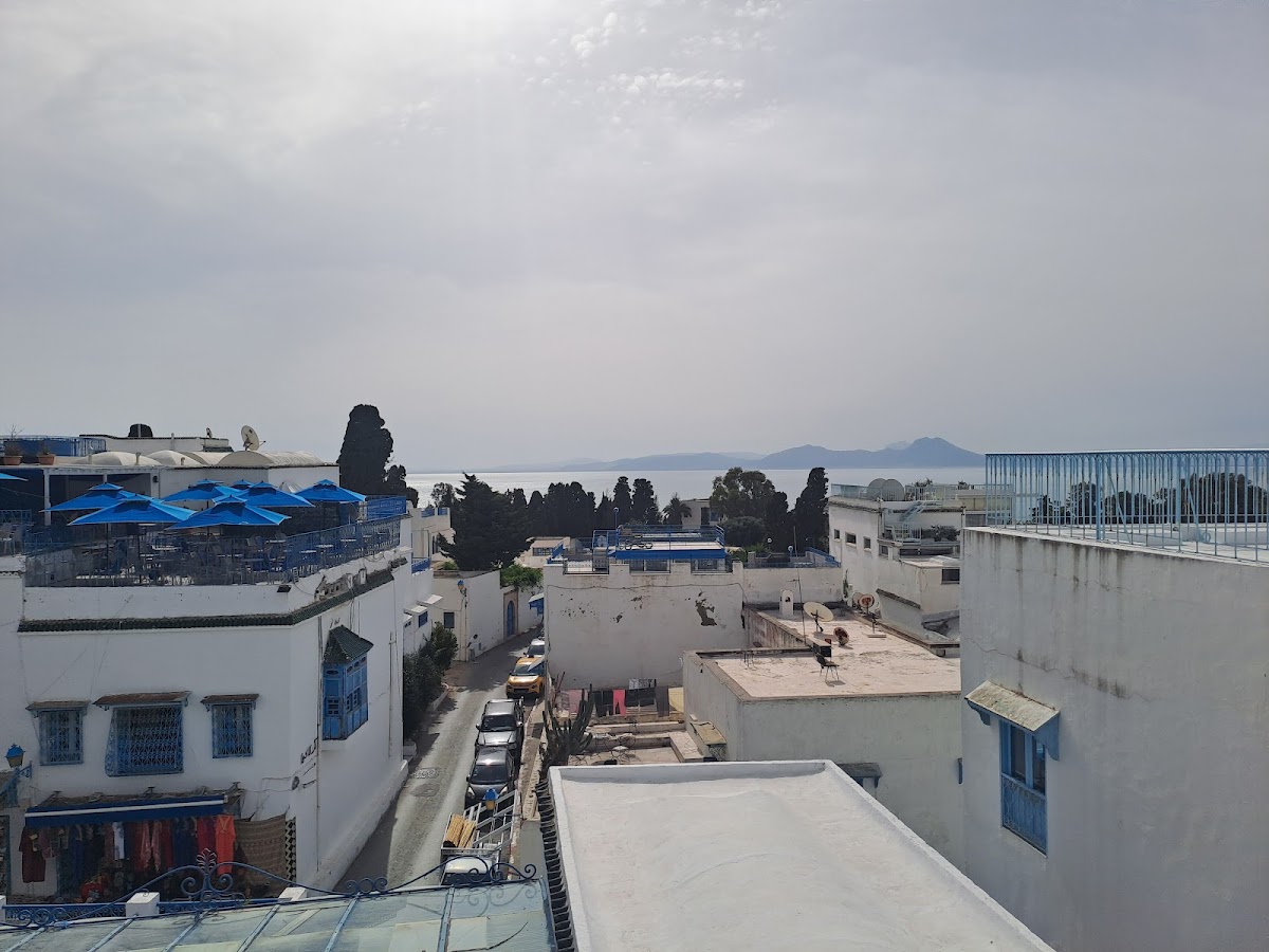Tunisia Travel International — tour operator in Avenue Magreb Arabe Khezema Est Immeuble Wejdan Immeuble Wejdan Bloc A Bureau 303 Sousse, Tunisia – photo 6
