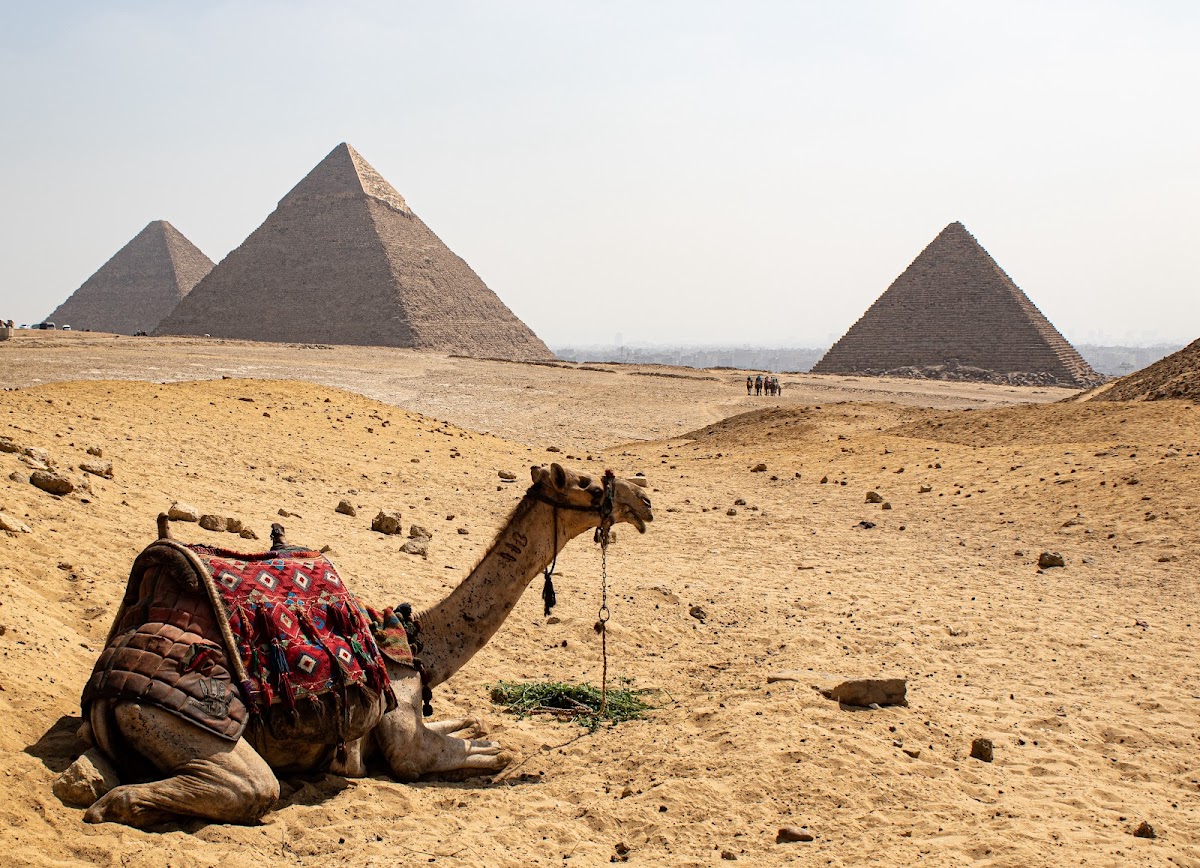 Egypt Tours Portal — tour operator in Mashaal, Egypt – photo 6