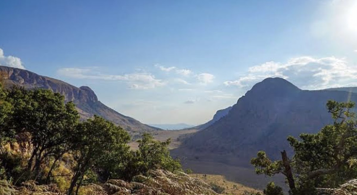South Africa Tours — tour operator in Modimolle, South Africa – photo 5