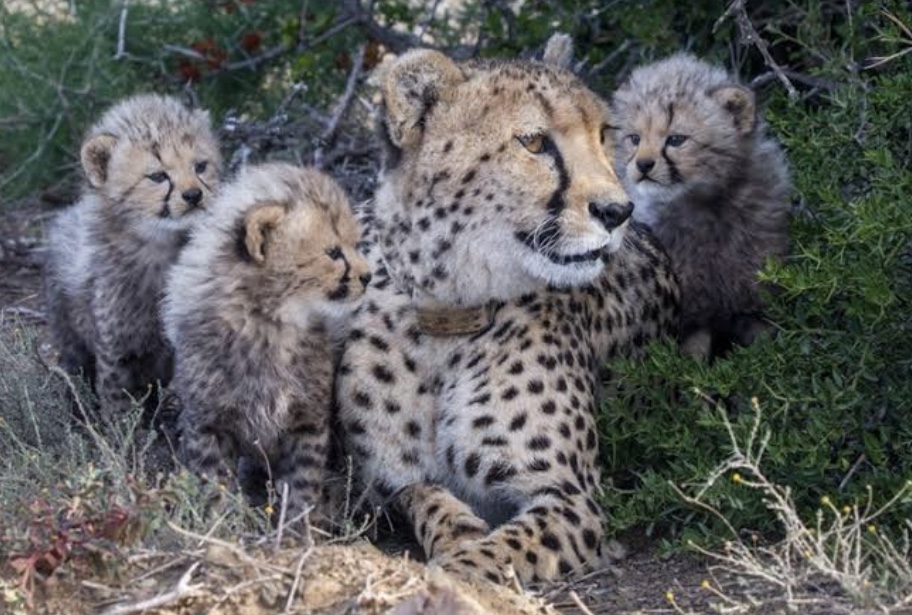 South Africa Tours — tour operator in Modimolle, South Africa – photo 2