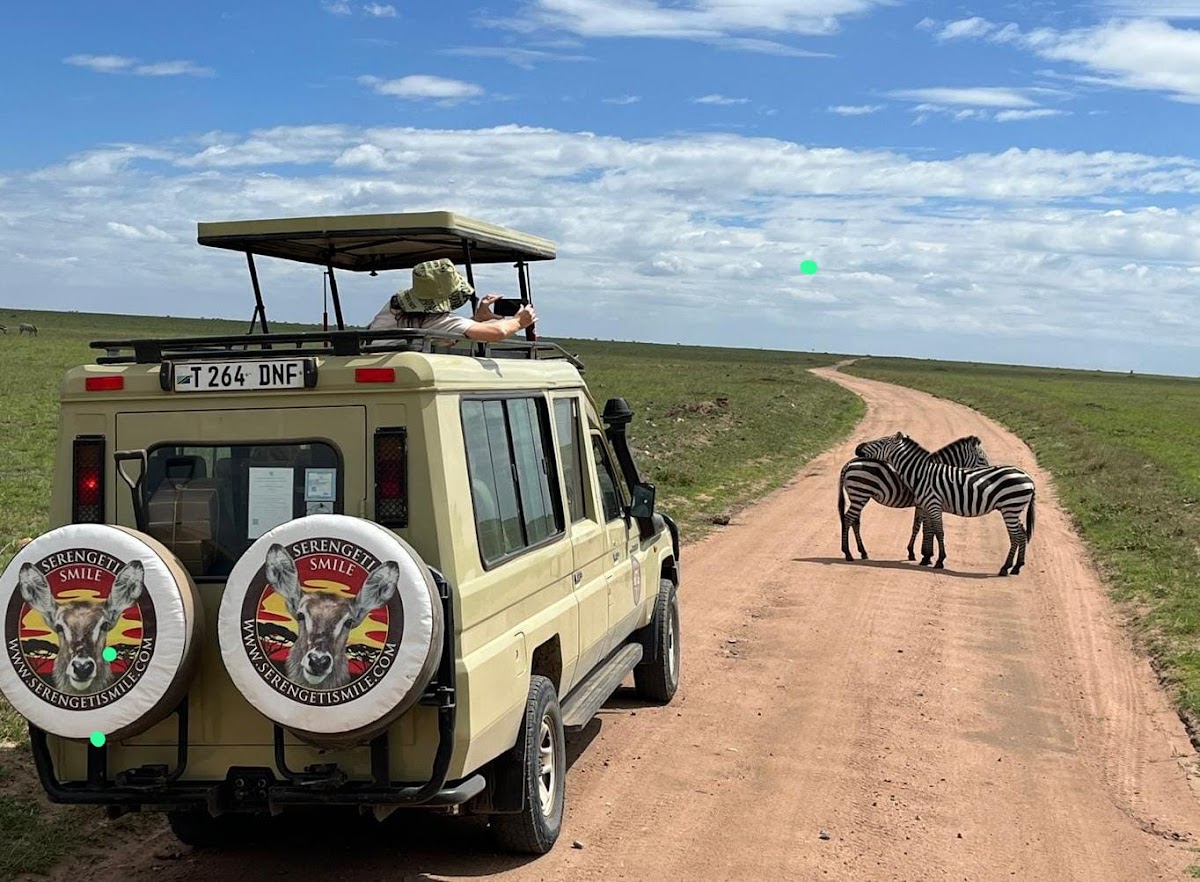 Serengeti Smile - One of the Best Tanzania Tour Operators — tour operator in Erangau Street, Tanzania – photo 1