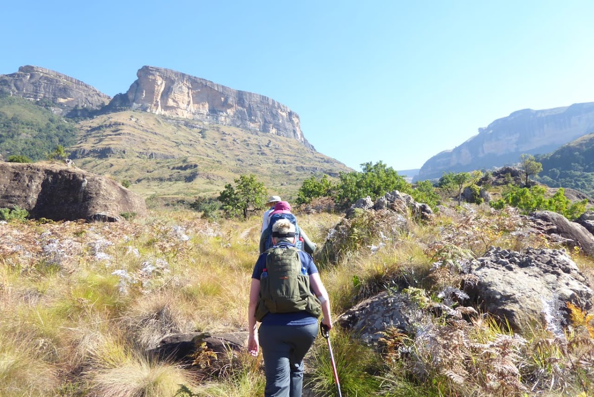 South Africa Adventures — tour operator in Chartwell, South Africa – photo 6