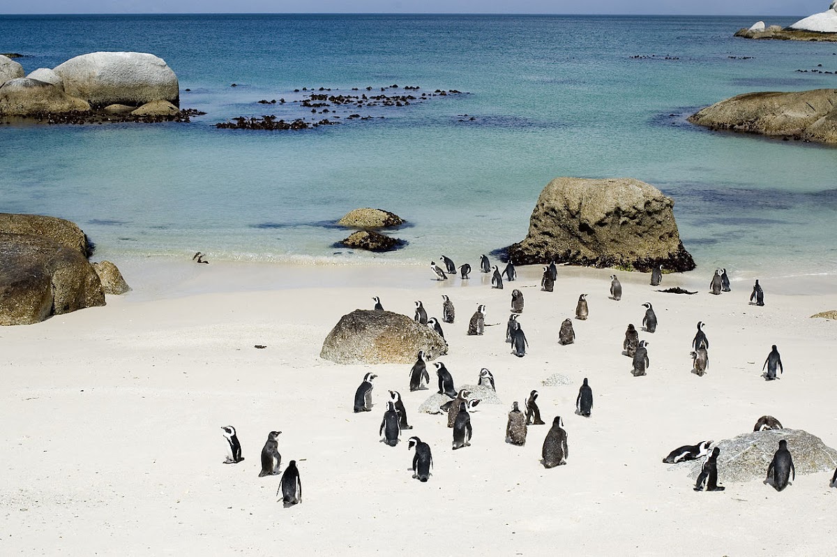 South Africa Adventures — tour operator in Chartwell, South Africa – photo 2