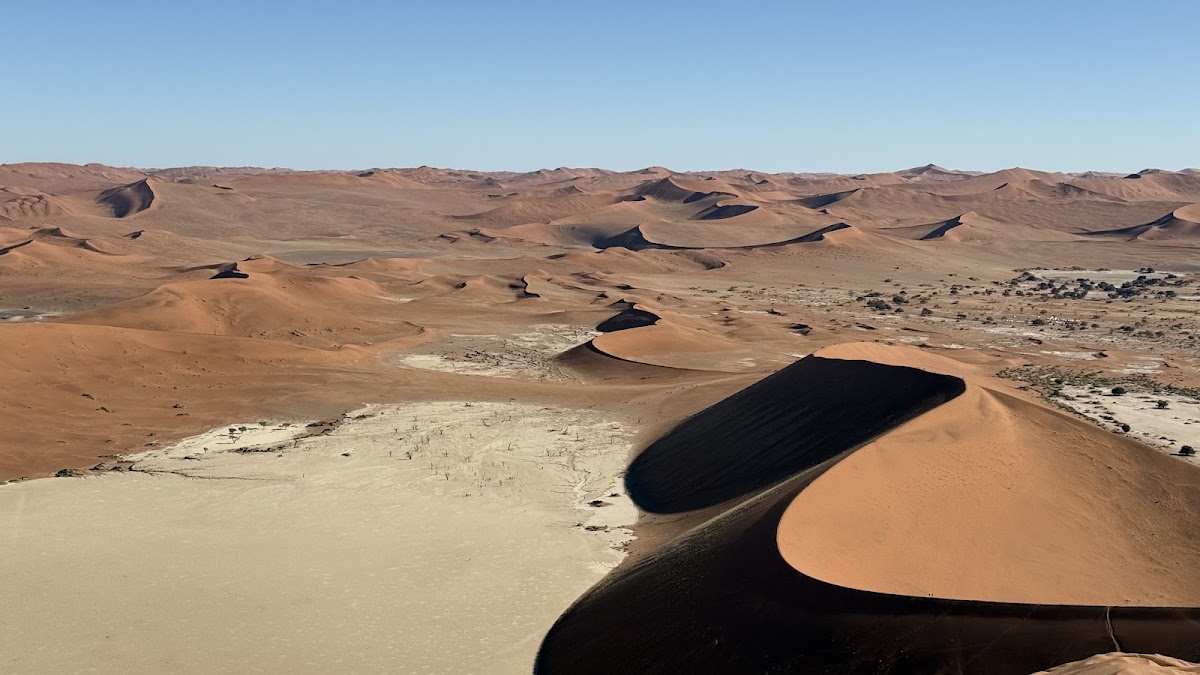 Chameleon Safaris — tour operator in Ferry Street, Namibia – photo 2