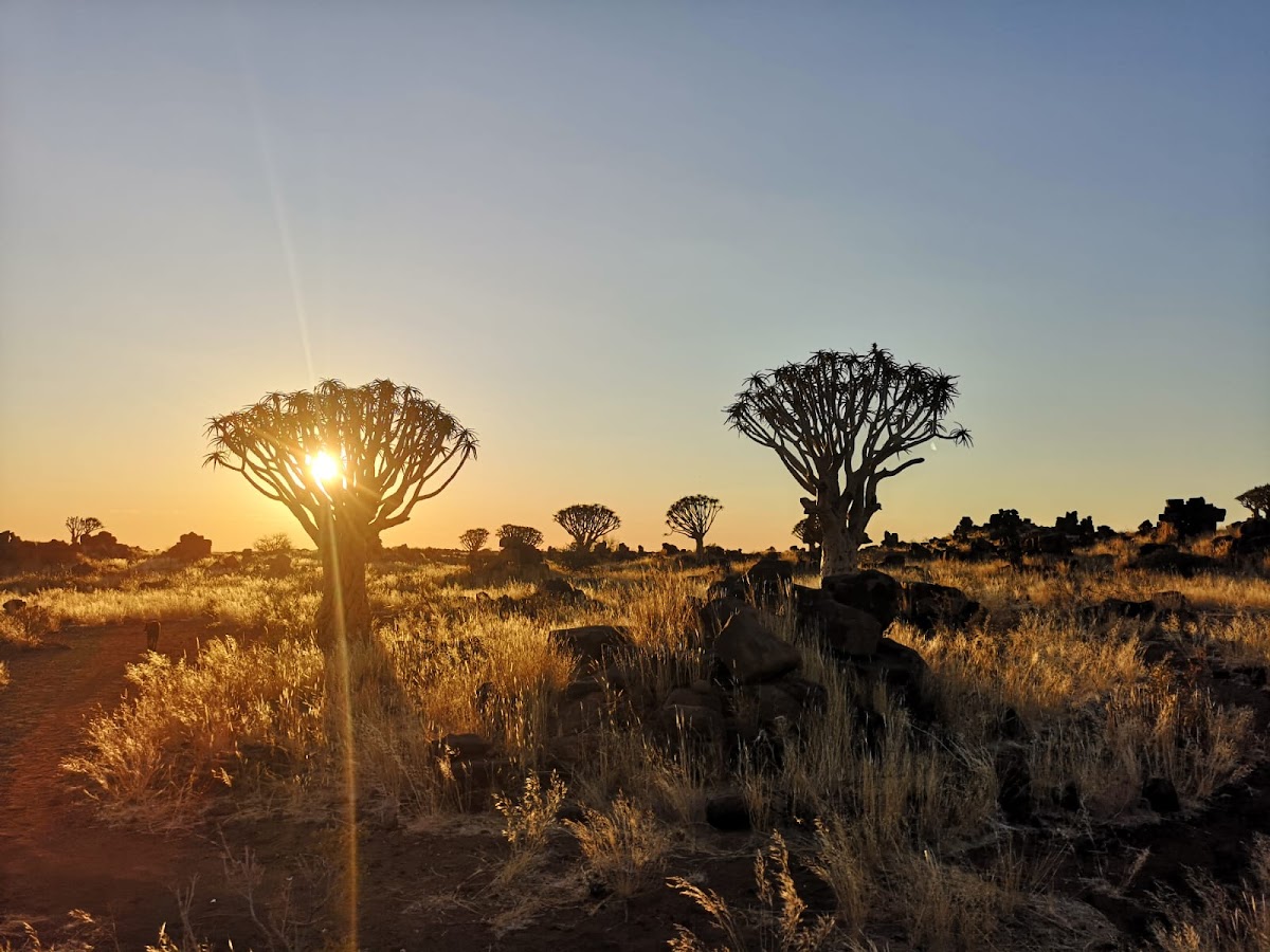 Chameleon Safaris — tour operator in Ferry Street, Namibia – photo 3
