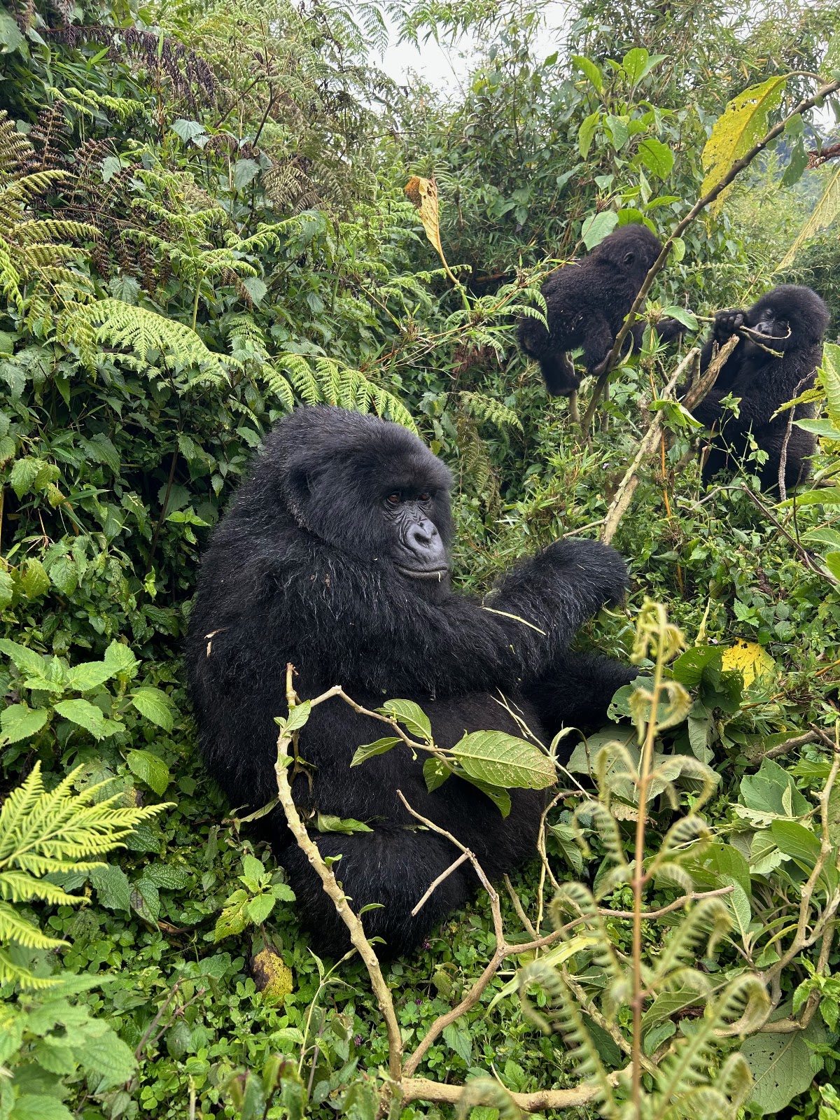 Judith Safaris — tour operator in 50 KN 14 Ave, Rwanda – photo 5