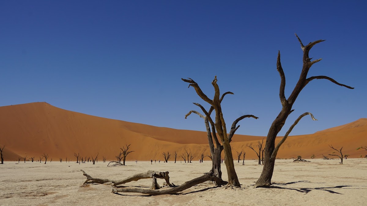 African Wanderer Tours + Safaris — tour operator in Hebenstreit Street, Namibia – photo 4