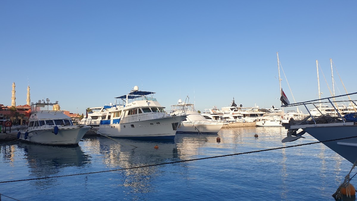 Zakharious Tours ( Hurghada Ausflüge Privat | Ausflüge in Ägypten ) — tour operator in Hurghada 1, Egypt – photo 1