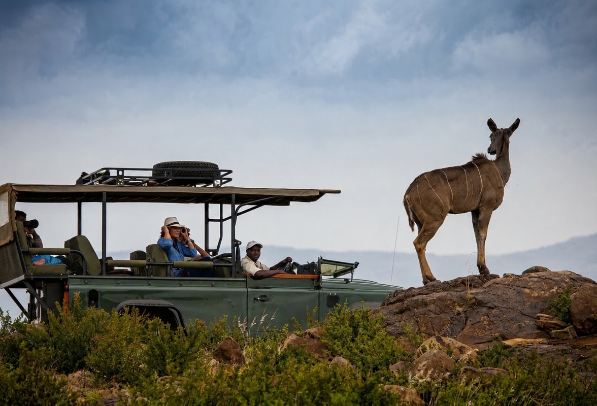 Axis Africa Safaris Tour Company & Travel Agency Nairobi | Vacations, Trips, Holidays adventures Kenya, Tanzania & Abroad — tour operator in 9TH Floor Suite 904 Koinange St, Kenya – photo 2