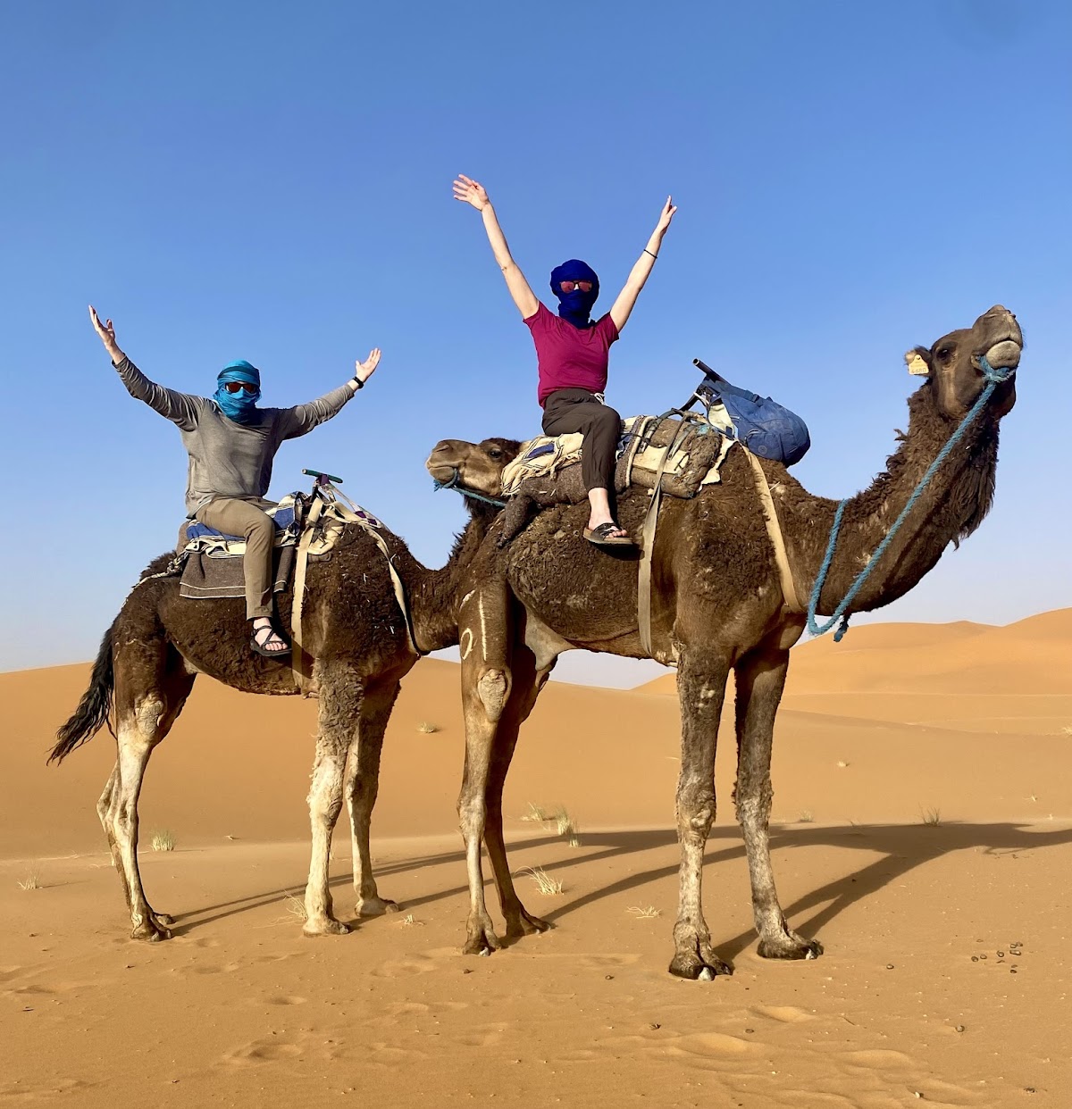 Morocco Tours Services — tour operator in 54 Rue Al Habacha, Morocco – photo 2