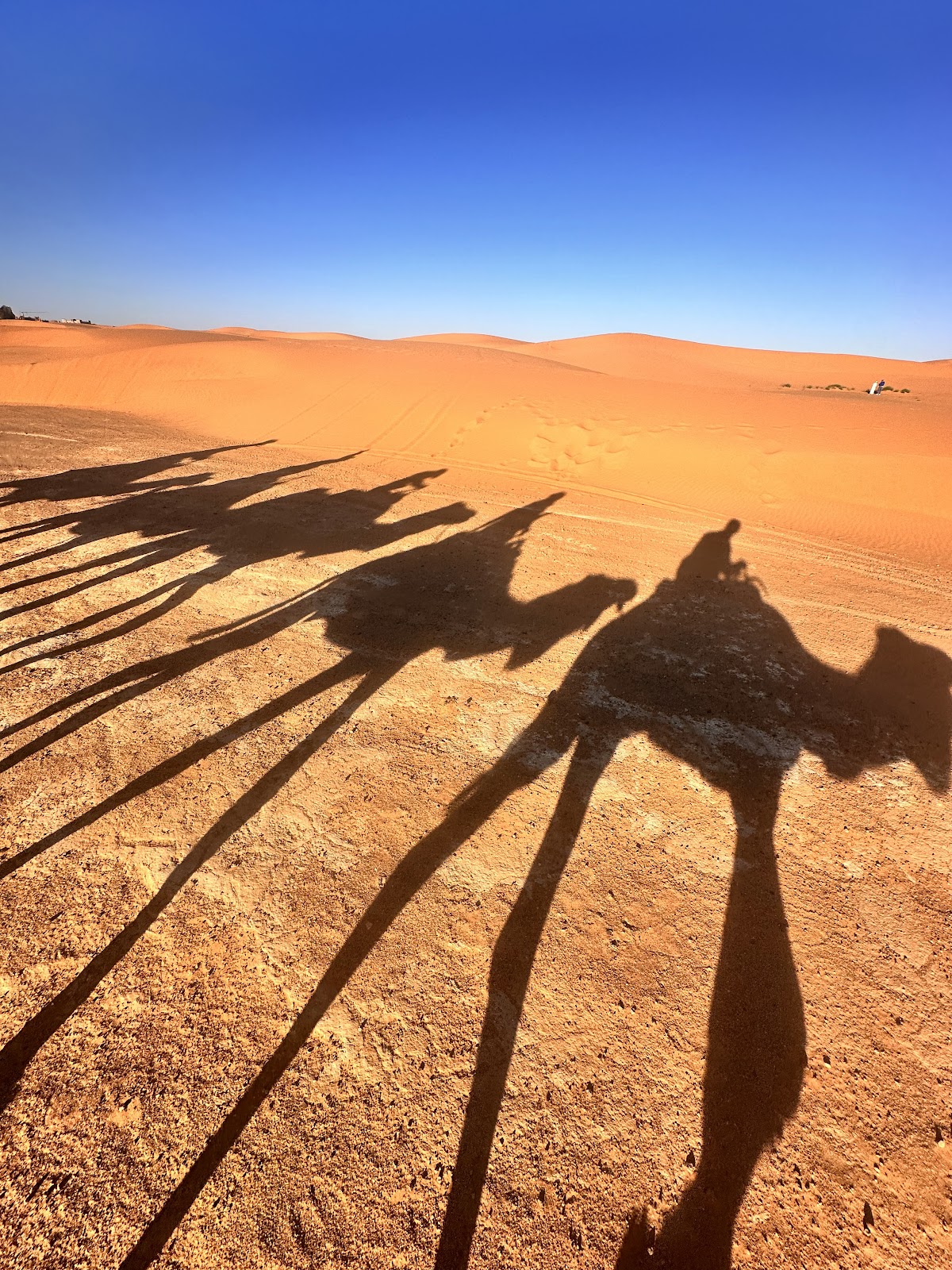 Morocco Tours Services — tour operator in 54 Rue Al Habacha, Morocco – photo 4