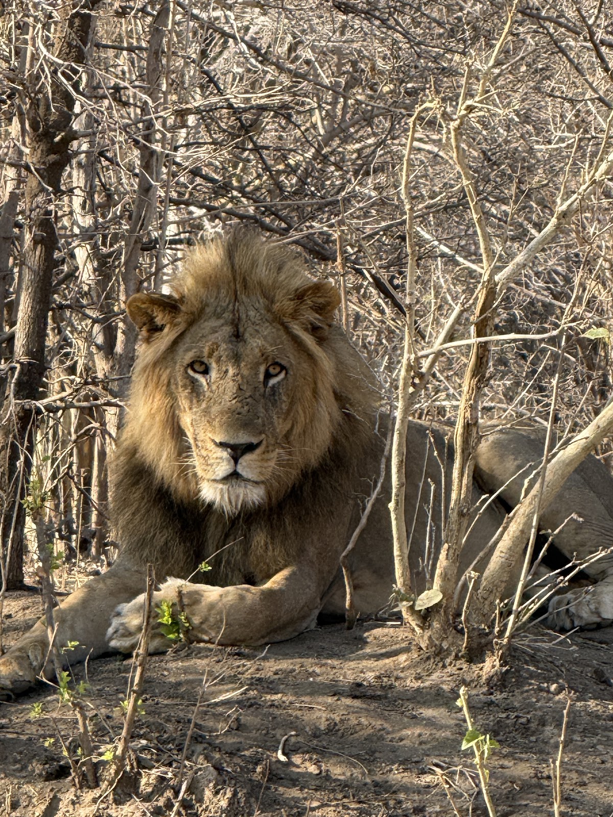 Anywhere In Africa Safaris — tour operator in Cape Town, South Africa – photo 4