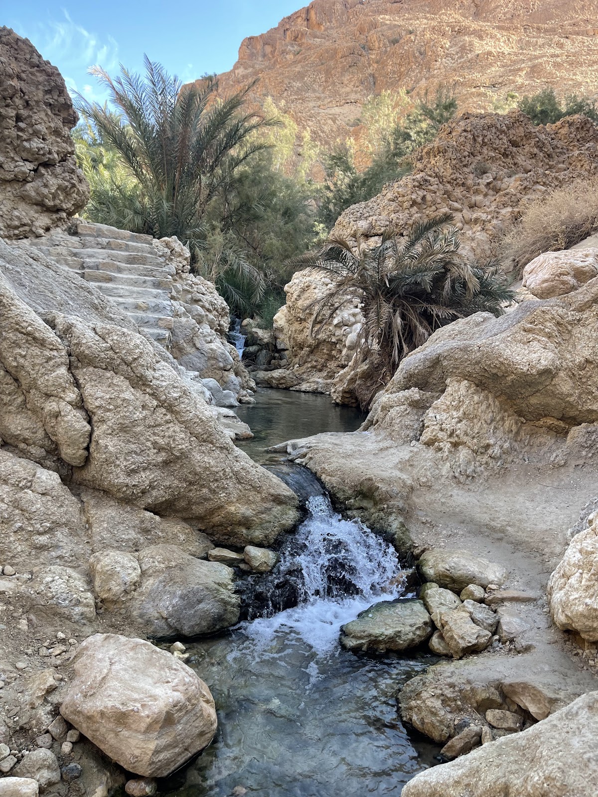 The Soul of Sahara — tour operator in City of Airport, Tunisia – photo 4