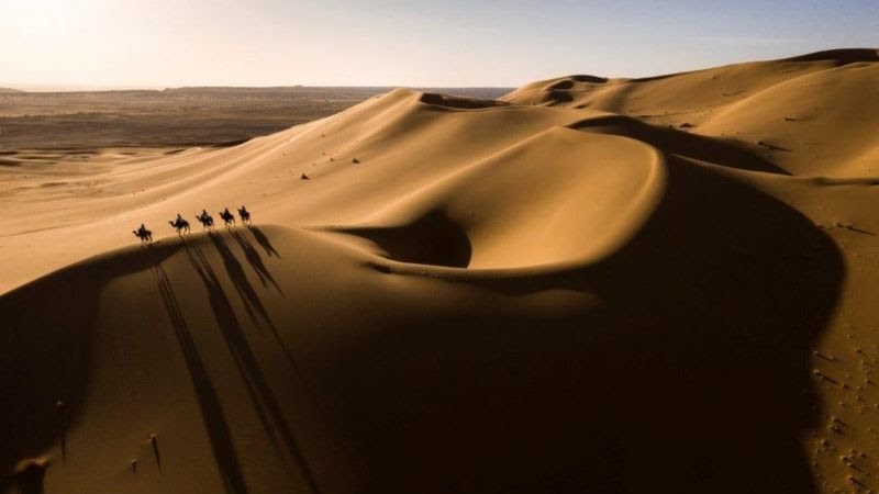 The Soul of Sahara — tour operator in City of Airport, Tunisia – photo 1