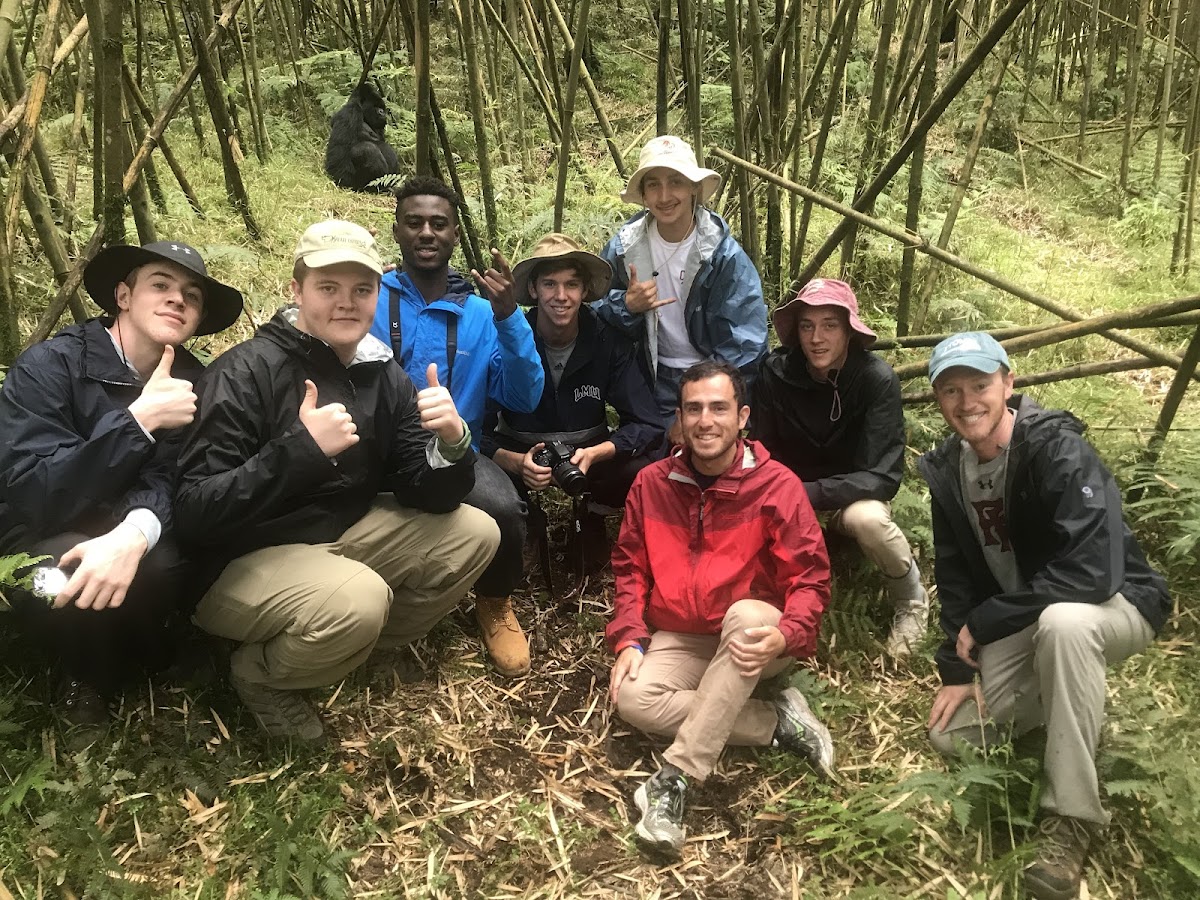 Mist Rwanda Safaris|Gorilla Trekking Rwanda|Gorilla Trekking Uganda|Akagera Safaris — tour operator in 3, Rwanda – photo 1
