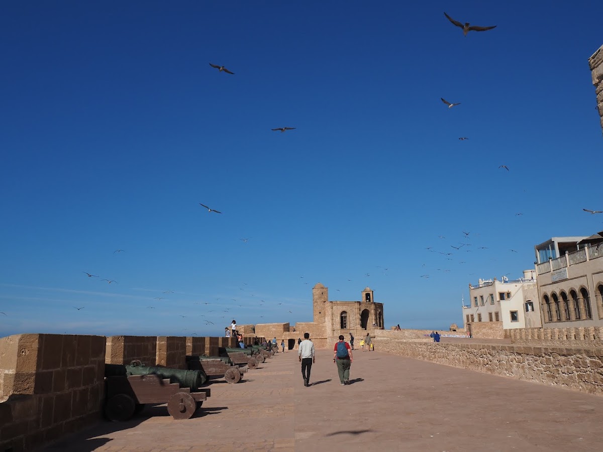 Morocco Custom Tours — tour operator in Bloc 30 Mhamid, Morocco – photo 4
