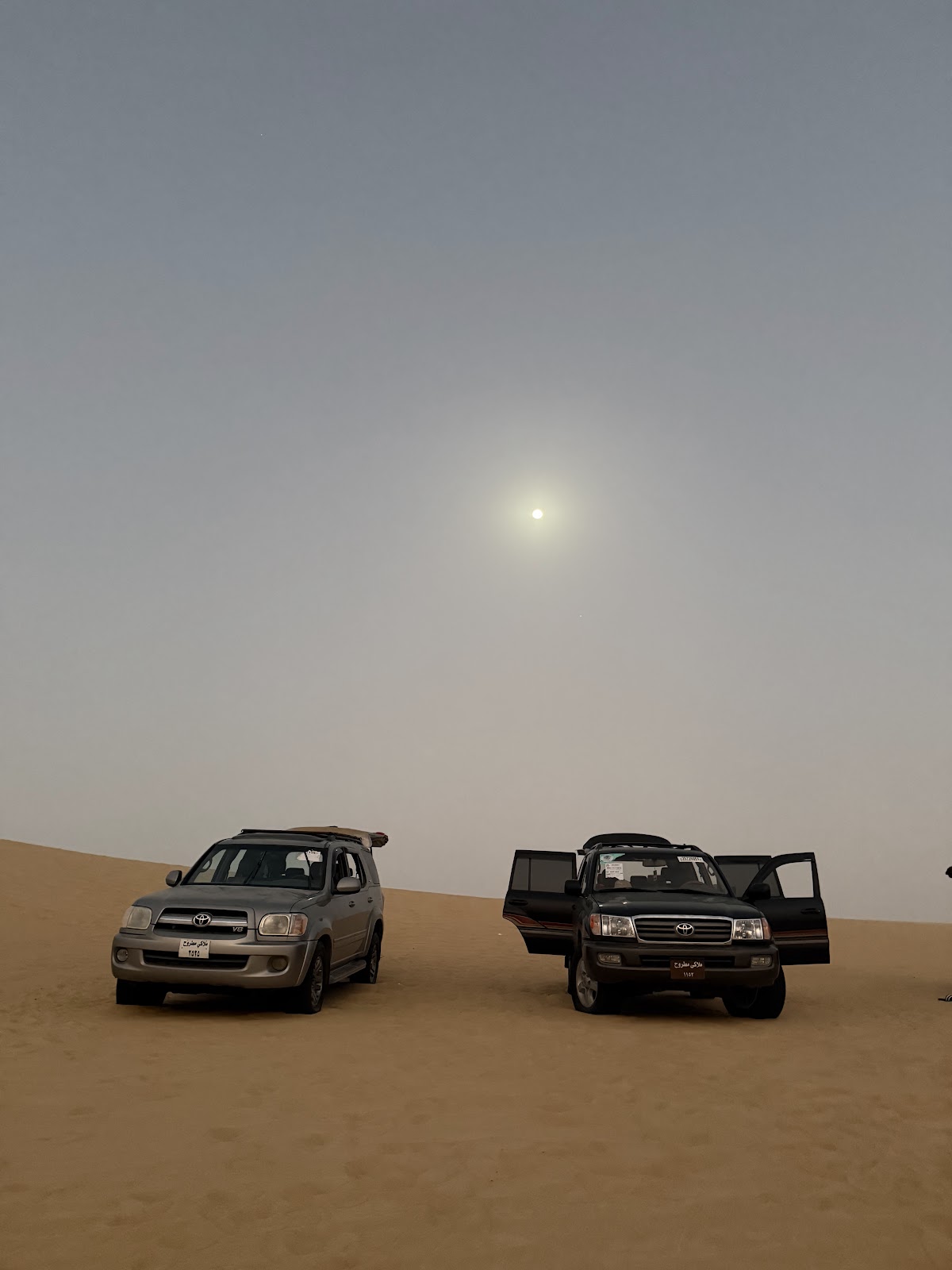 Paradise Egypt Travel Agency — tour operator in New Cairo 1, Egypt – photo 4
