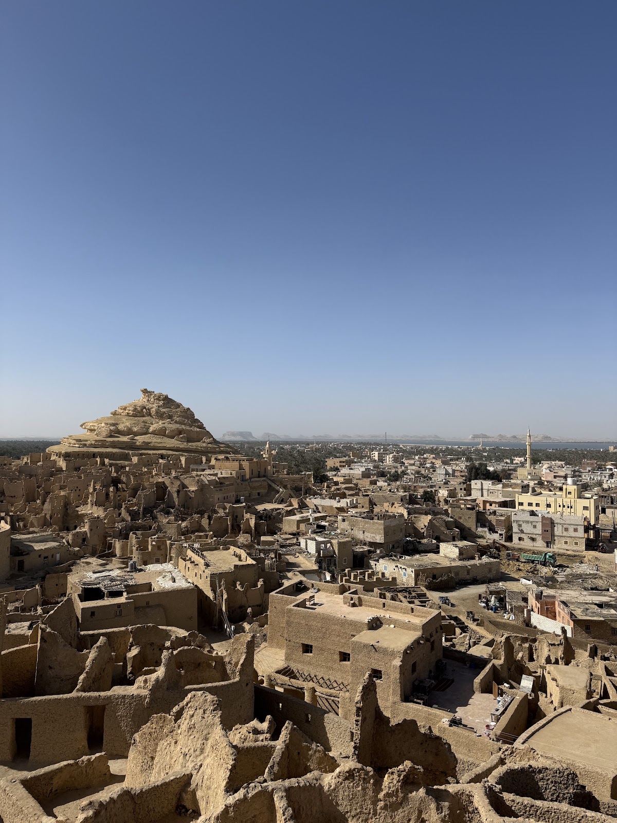 Paradise Egypt Travel Agency — tour operator in New Cairo 1, Egypt – photo 3