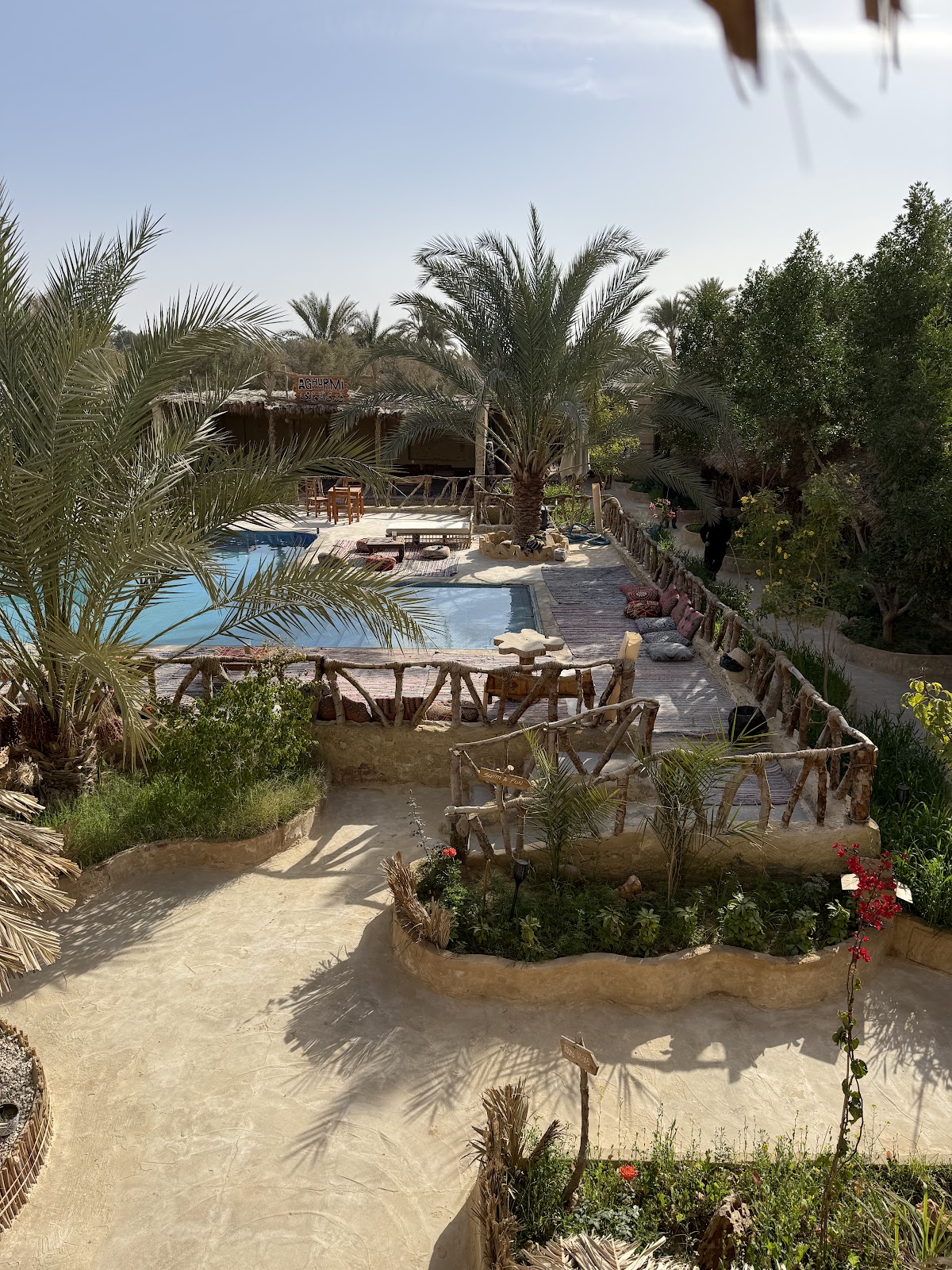 Paradise Egypt Travel Agency — tour operator in New Cairo 1, Egypt – photo 5