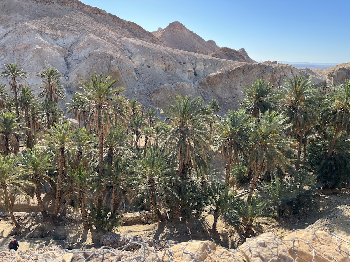 Bonheur Voyages — tour operator in Av. Mrezga, Tunisia – photo 6