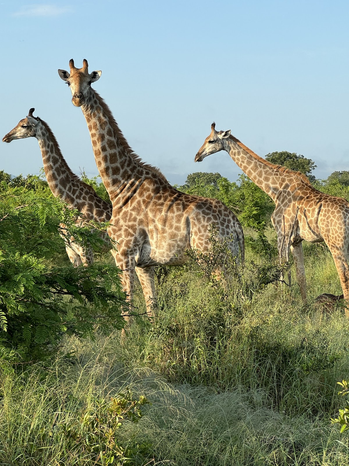 Mmilo Tours and Safaris — tour operator in Centurion, South Africa – photo 2