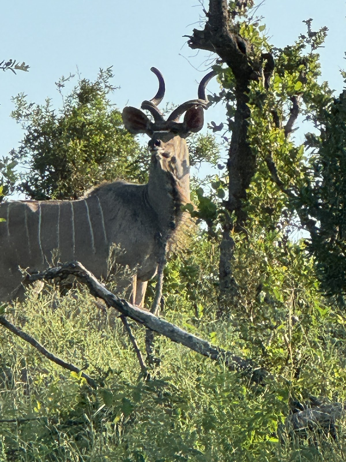 Mmilo Tours and Safaris — tour operator in Centurion, South Africa – photo 3