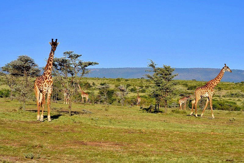 Mmilo Tours and Safaris — tour operator in Centurion, South Africa – photo 1