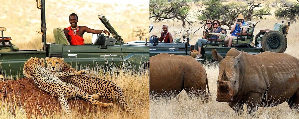 Mmilo Tours and Safaris — tour operator in Centurion, South Africa – photo 5