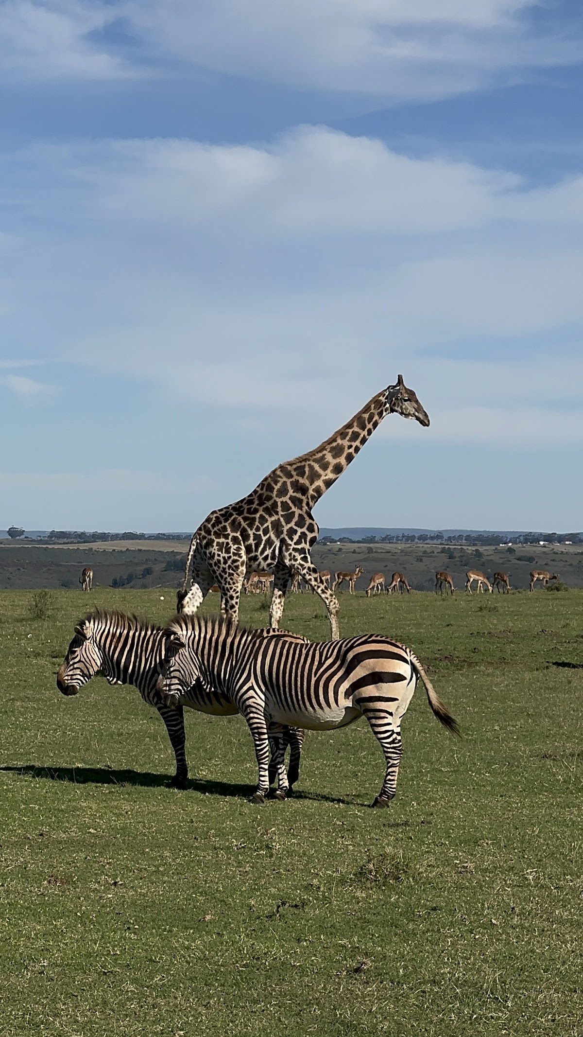 Hotspots2c Tours — tour operator in Cape Town, South Africa – photo 5